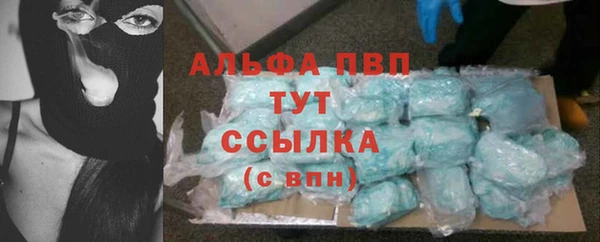 гашик Абаза