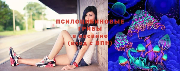 гашик Абаза
