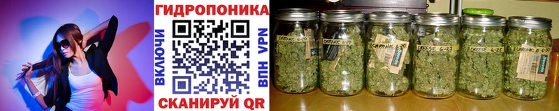 Бошки Шишки Bruce Banner  Исилькуль 